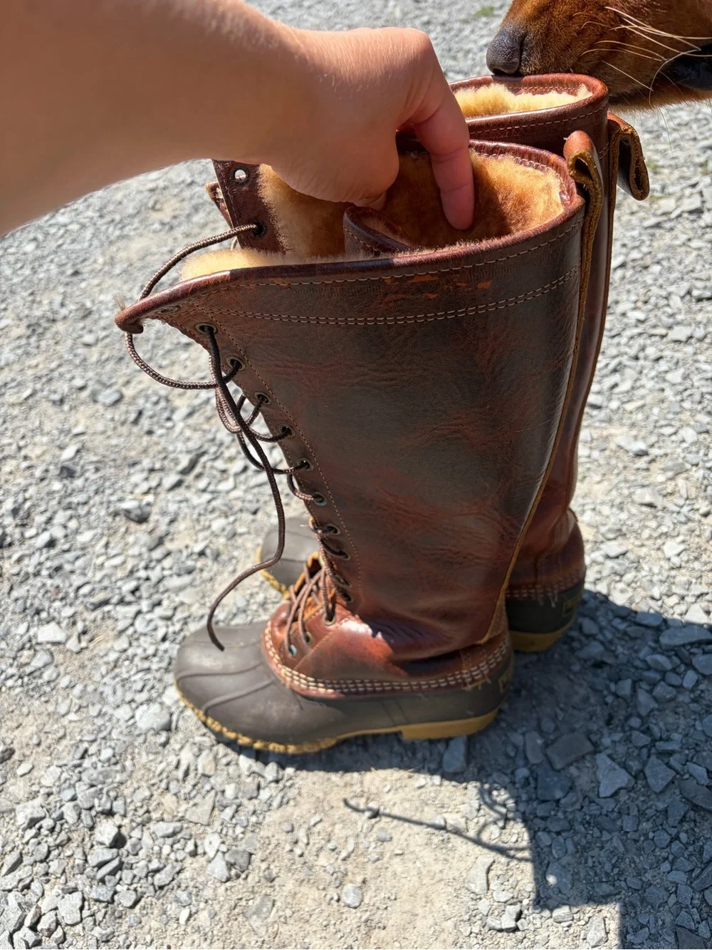 Brown Lace-Up Waterproof Womens Tall Winter Boots
